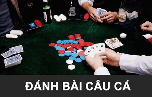 Bài câu cá là gì