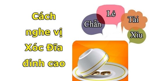 Đọc vị xóc đĩa là gì