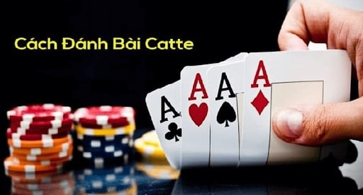 Hướng dẫn cách chơi bài catte tại CMD368